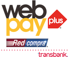 06_Logo_webpay_plus-300px